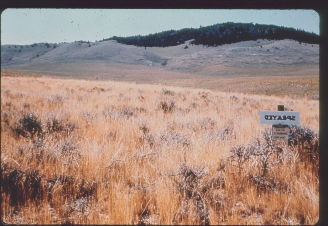A photo from the Montana Wheat and Barley Committee at work in the 1960s and 1970s.