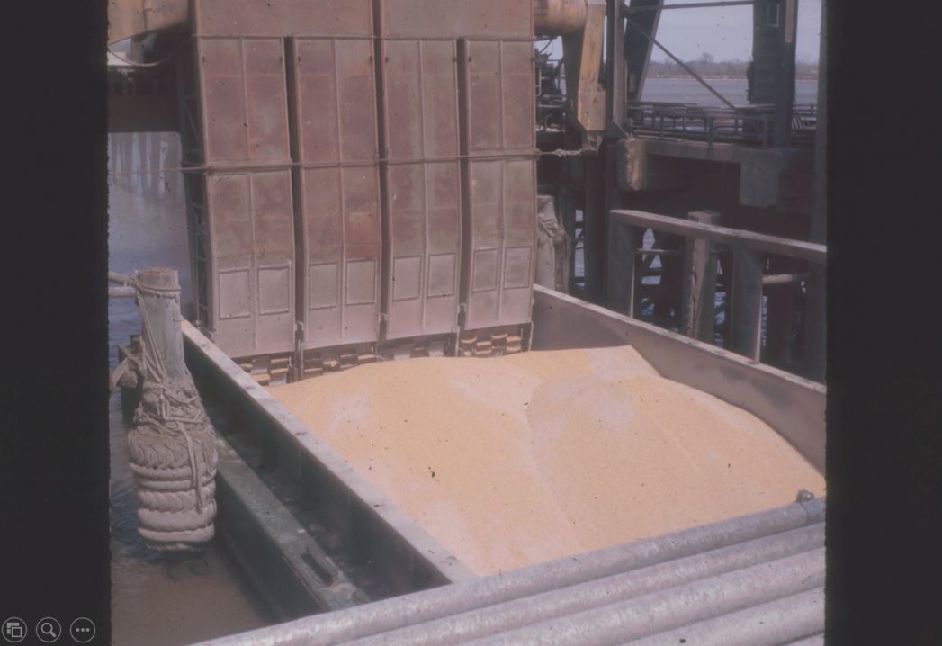 A photo from the Montana Wheat and Barley Committee at work in the 1960s and 1970s.