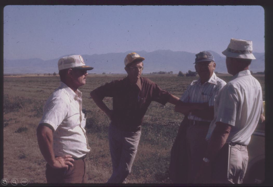 A photo from the Montana Wheat and Barley Committee at work in the 1960s and 1970s.