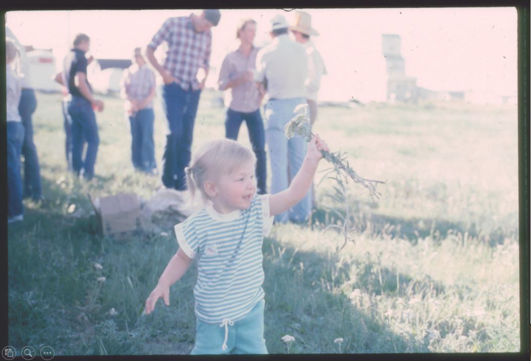 A photo from the Montana Wheat and Barley Committee at work in the 1990s.