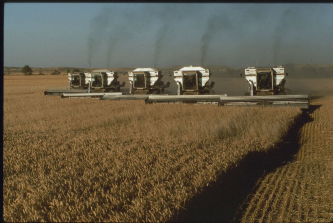 A photo from the Montana Wheat and Barley Committee at work in the 1990s.