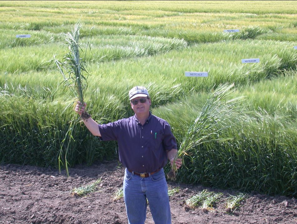 A photo from the Montana Wheat and Barley Committee at work in the 2000s (the oughts).