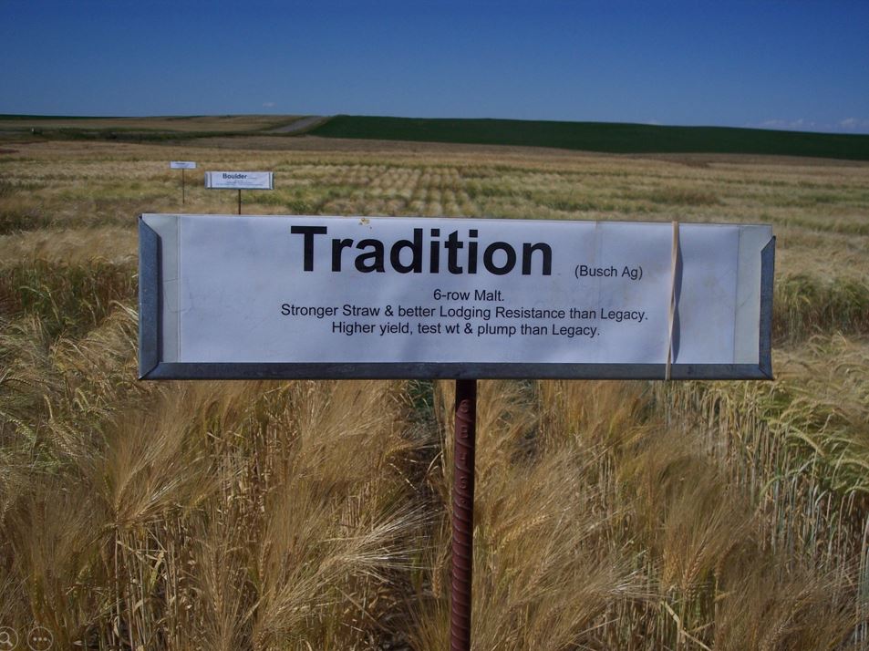 A photo from the Montana Wheat and Barley Committee at work in the 2000s (the oughts).