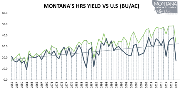 Montana's Red Spring Wheat HRS yield vs U.S. (BU/AC))