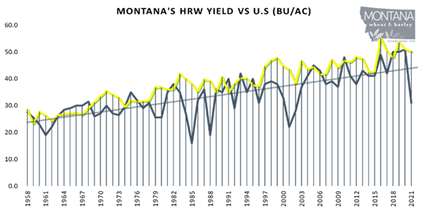 Montana's Red Winter Wheat HRS yield vs U.S. (BU/AC) chart