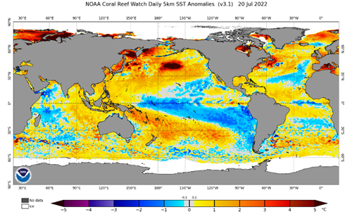Current Sea to Surface Tempertures