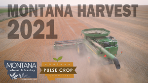 MT Harvest 2021 YouTube video