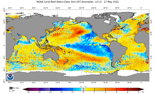 Snapshot of the SST’s from the month of May