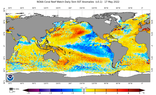 Sea Surface Temperatures