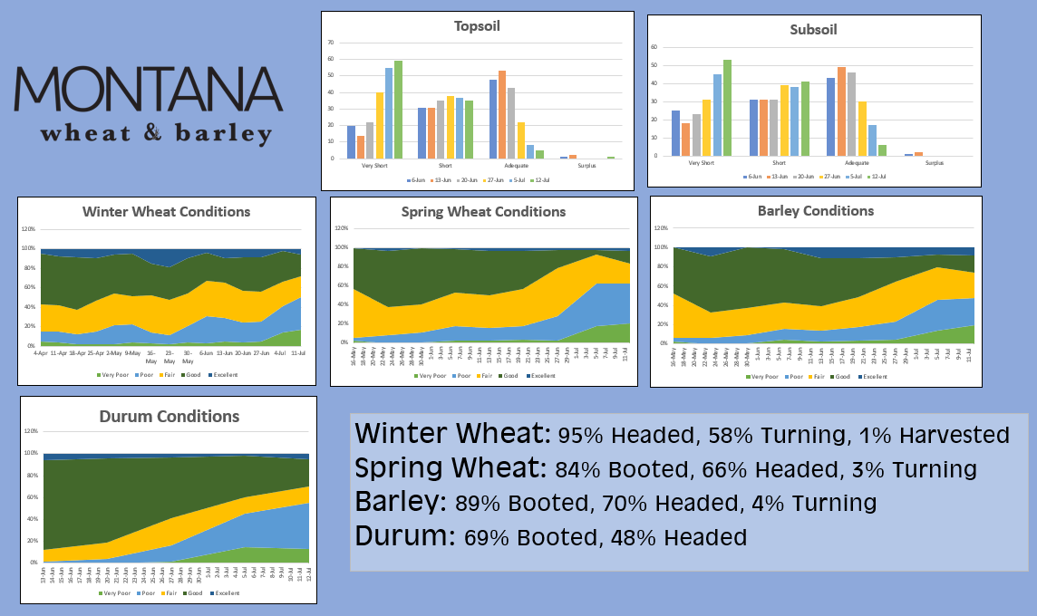 july-12-crop-conditions