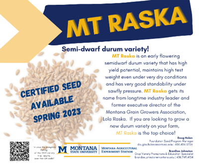 MT Raska Durum variety poster